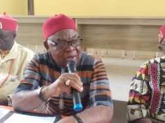 All Is Set for 2026 Iri-Ji Mbaise Festival as Ezuruezu to Launch Security Surveillance and Intelligence Command Centre